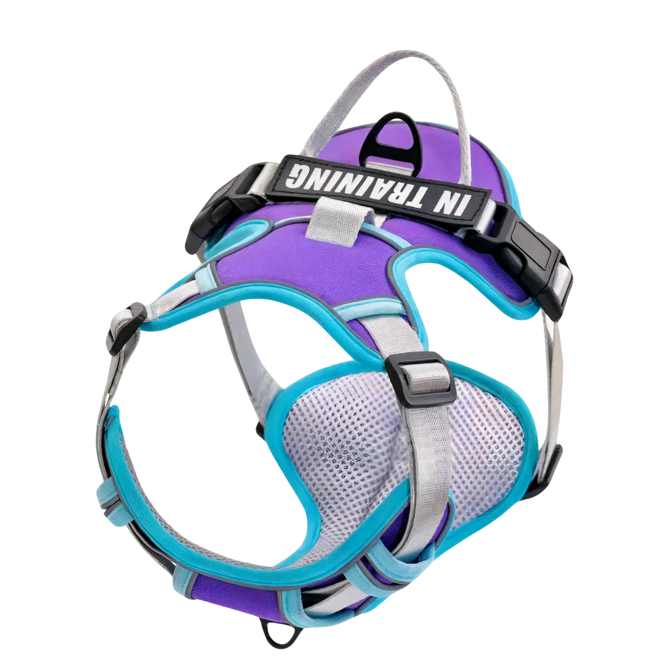 custom canine dog harness personalized active Y shape canine culture