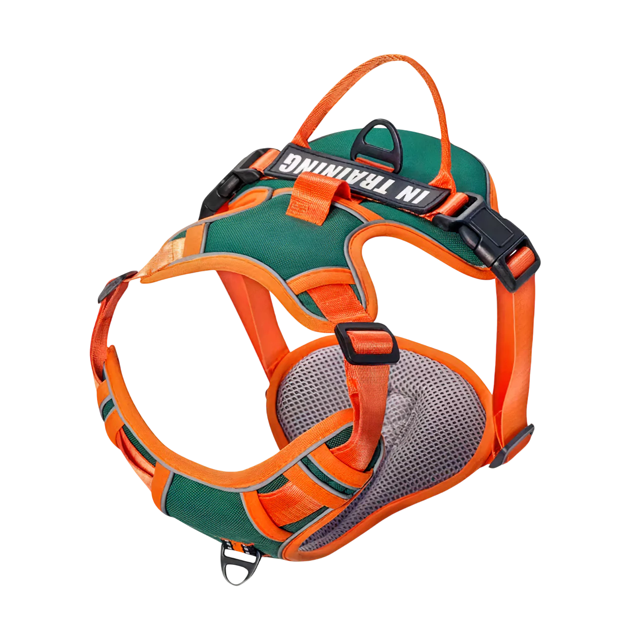 custom canine dog harness personalized active Y shape canine culture