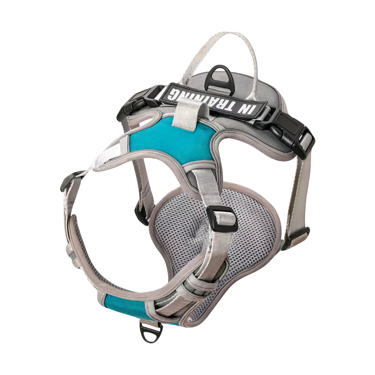 custom canine dog harness personalized active Y shape canine culture