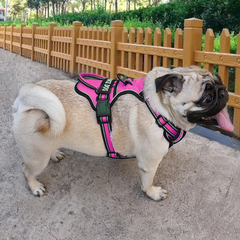 Custom Canine Dog Y Harness