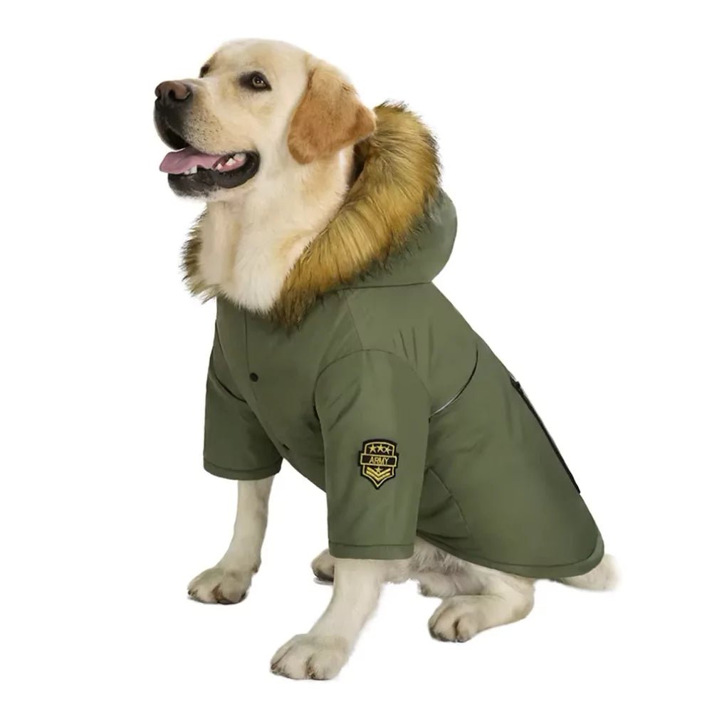 Green Military Dog Coat - Canine Culture