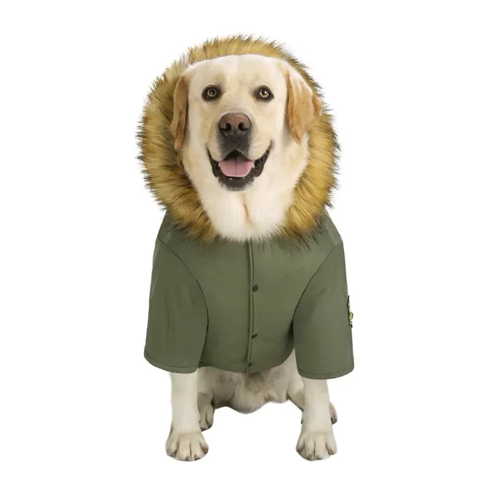 Green Military Dog Coat - Canine Culture