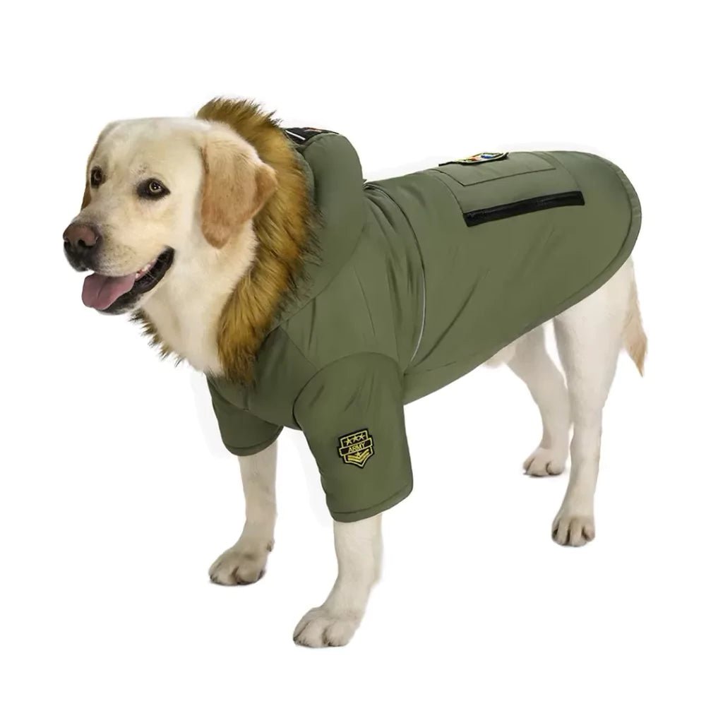 Green Military Dog Coat - Canine Culture
