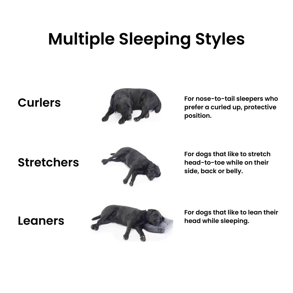 Luxury Imperial Dog Sofa Bed - Canine Culture