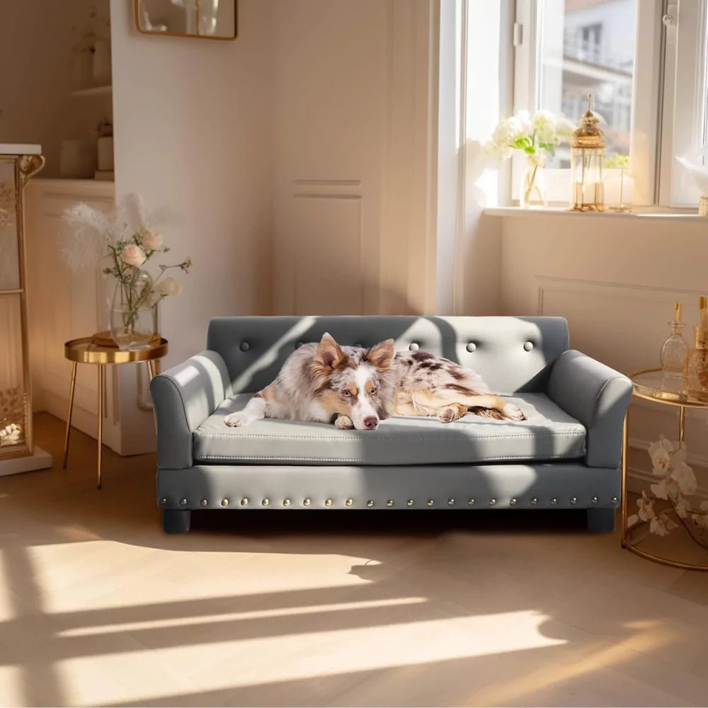 Luxury Imperial Dog Sofa Bed - Canine Culture