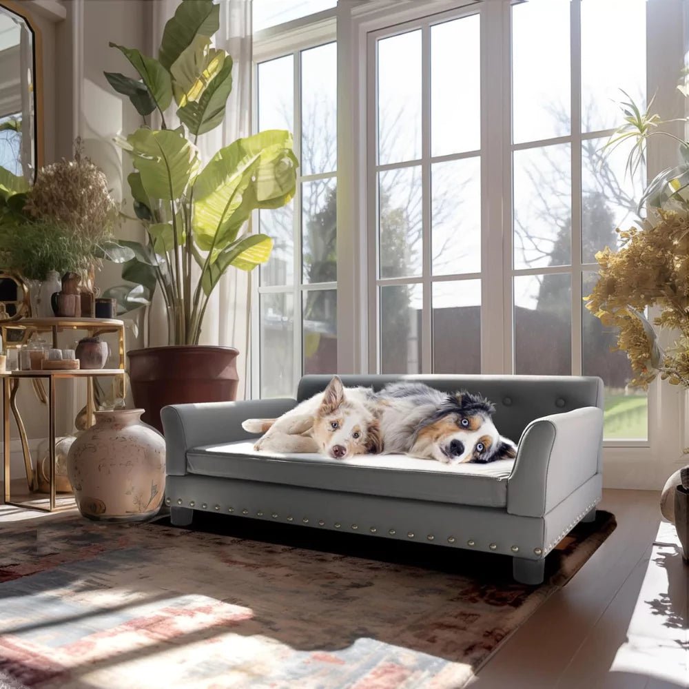 Luxury Imperial Dog Sofa Bed - Canine Culture