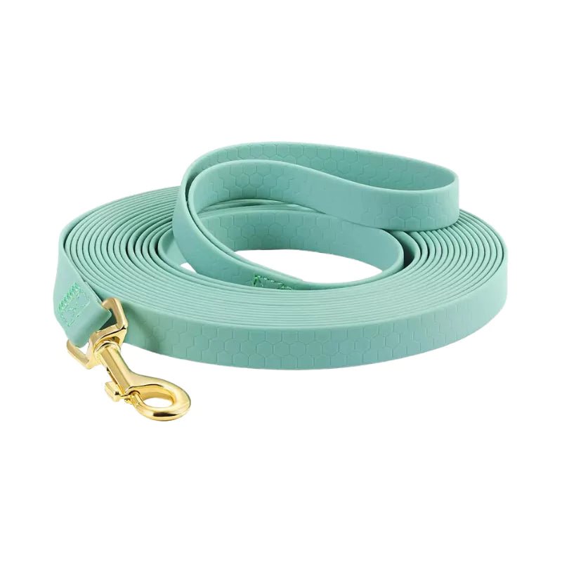 Mint Green Hex PVC Long Dog Leash - Canine Culture