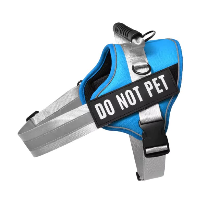 Neon Blue Reflective Personalized Dog Harness - Canine Culture