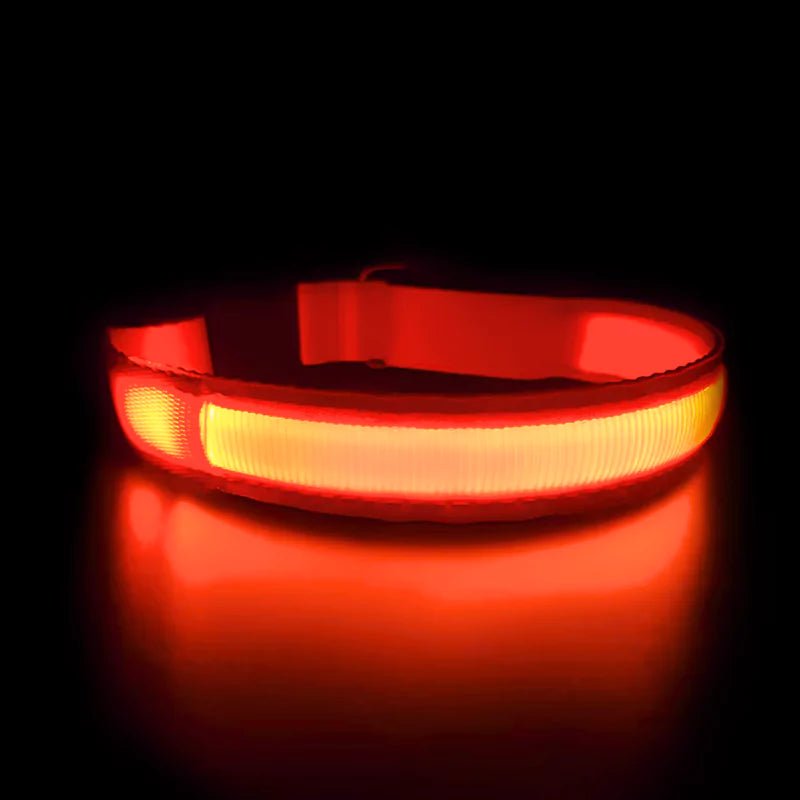 Orange LED Dog Collar | Waterproof - Canine Culture