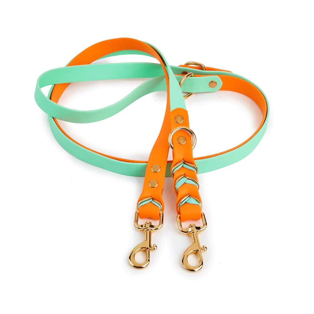 Orange Majesty Dog Collar & Leash Set - Canine Culture