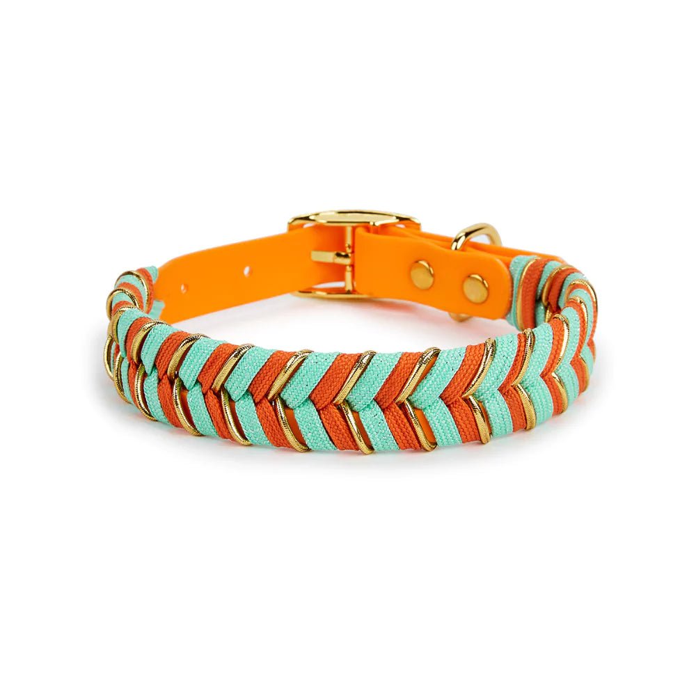 Orange Majesty Dog Collar & Leash Set - Canine Culture