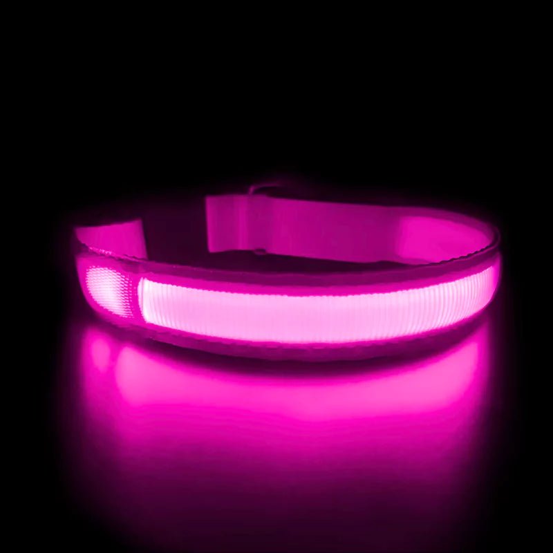 Pink LED Dog Collar | Waterproof - Canine Culture