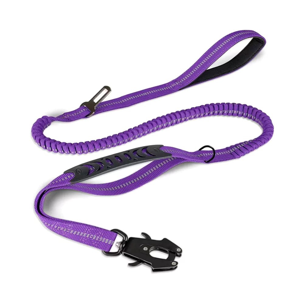 Purple Heavy Duty Bungee Dog Leash - Canine Culture