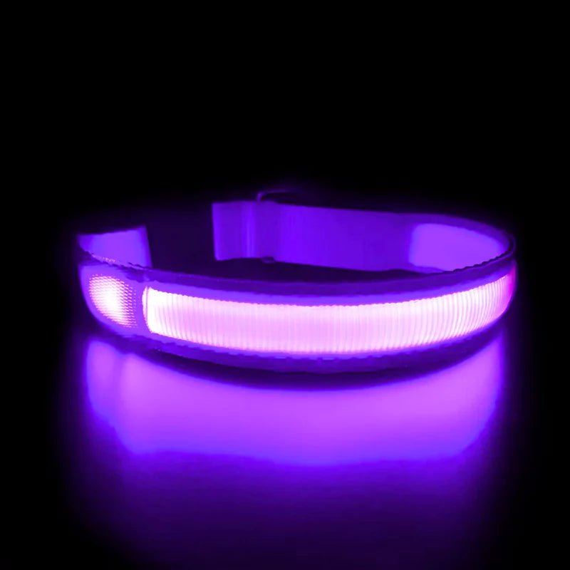 Purple LED Dog Collar | Waterproof - Canine Culture