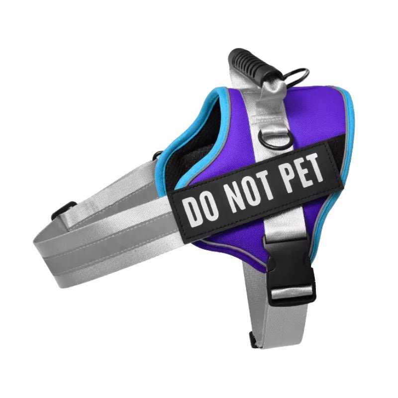 Purple Reflective Personalized Dog Harness - Canine Culture