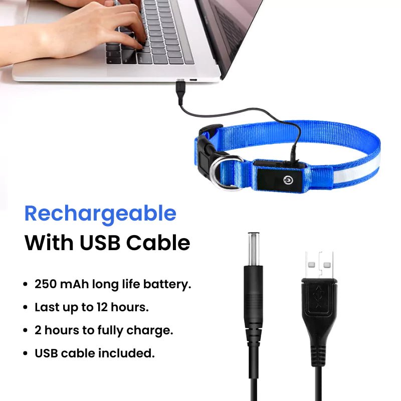 Red LED Dog Collar | Waterproof - Canine Culture