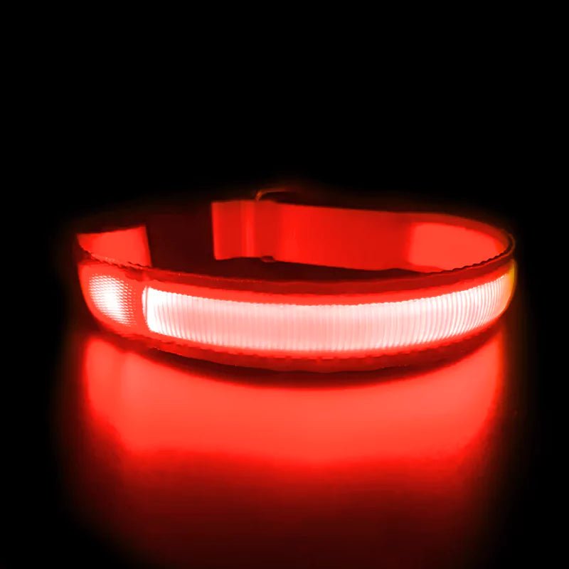 Red LED Dog Collar | Waterproof - Canine Culture