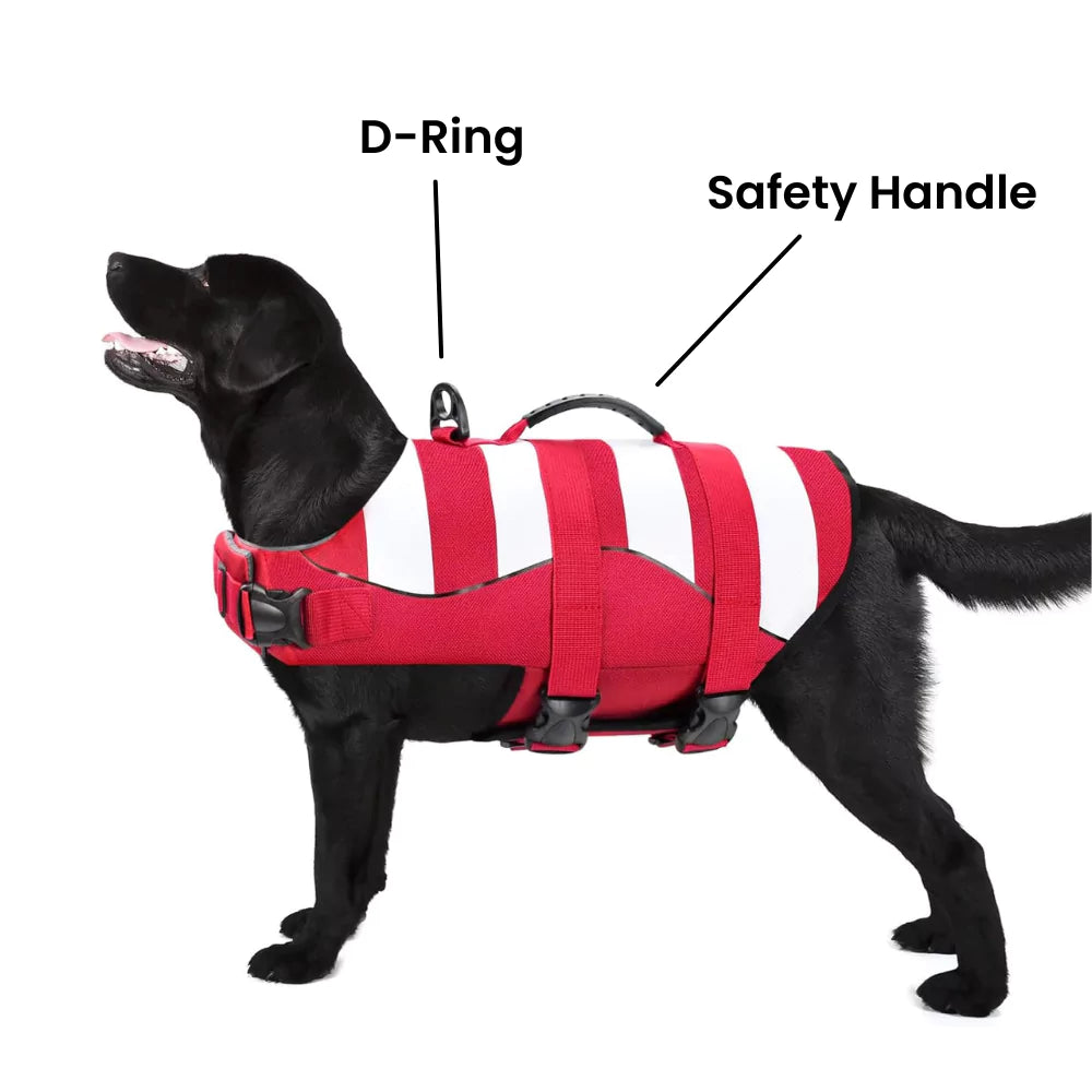 dog life jacket vest