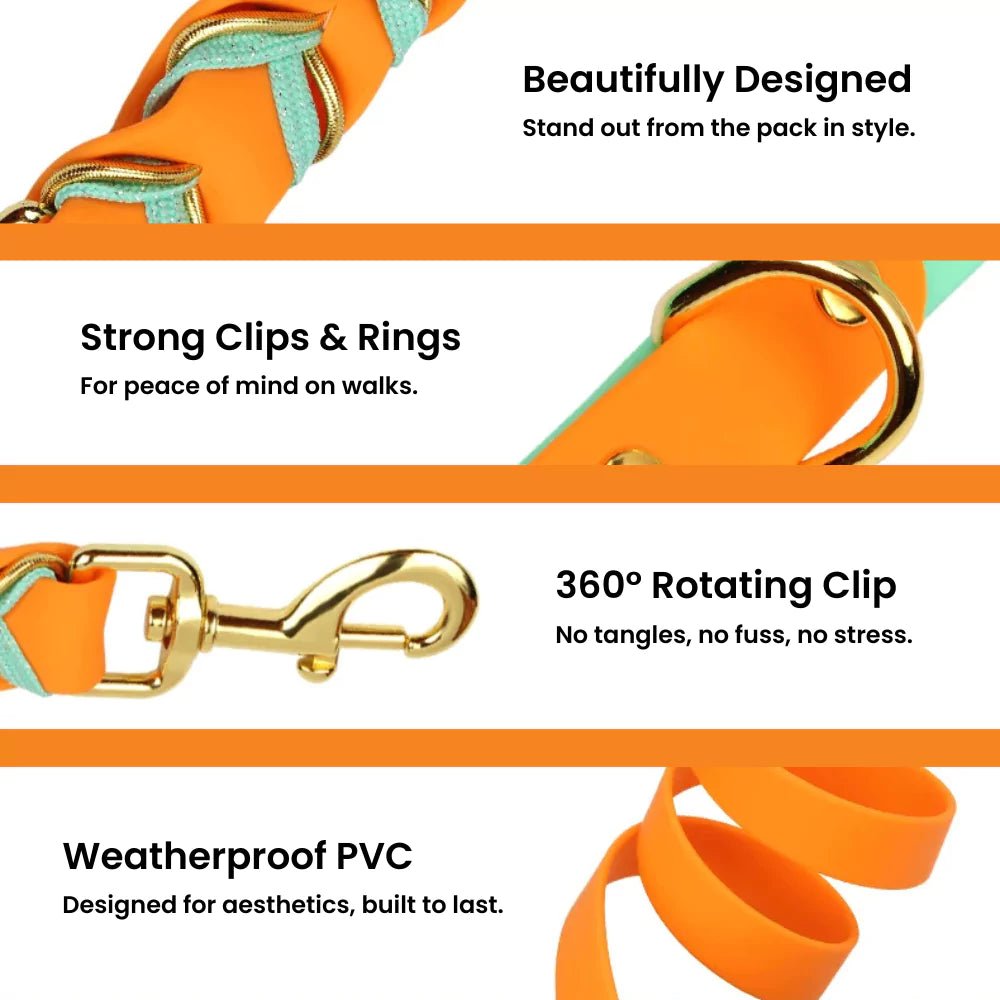 White Majesty Dog Collar & Leash Set - Canine Culture