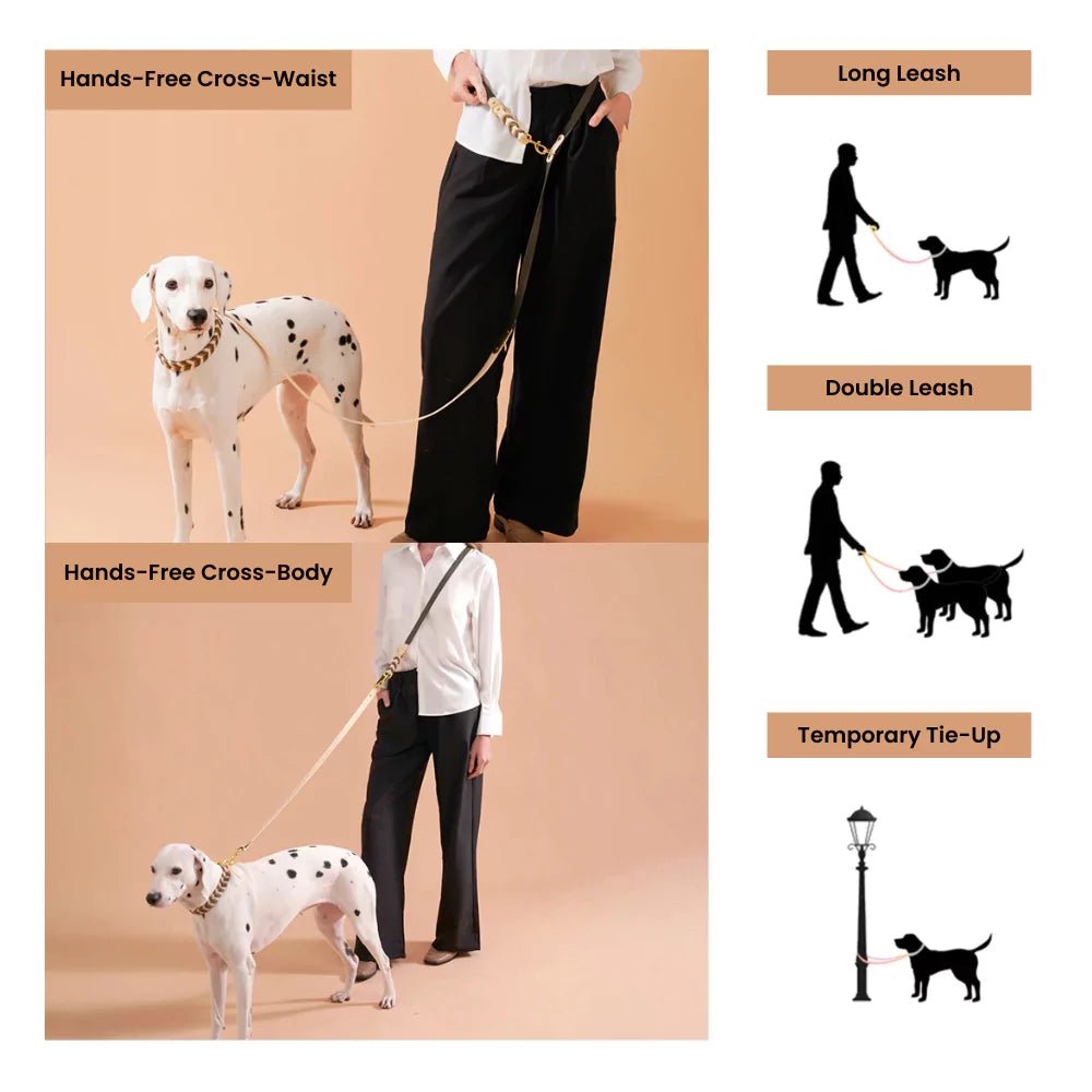 White Majesty Dog Collar & Leash Set - Canine Culture