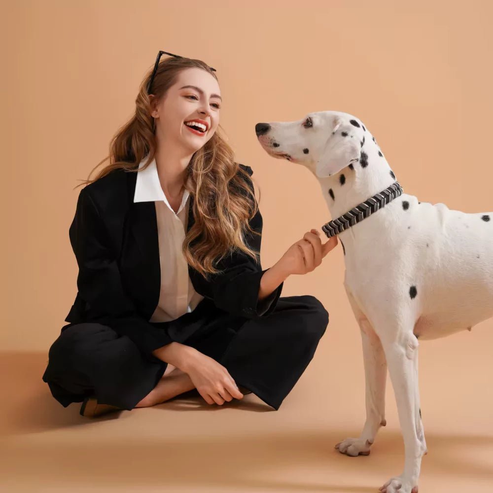 White Majesty Dog Collar & Leash Set - Canine Culture