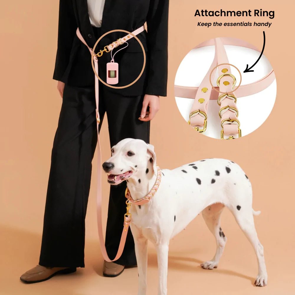 White Majesty Dog Collar & Leash Set - Canine Culture