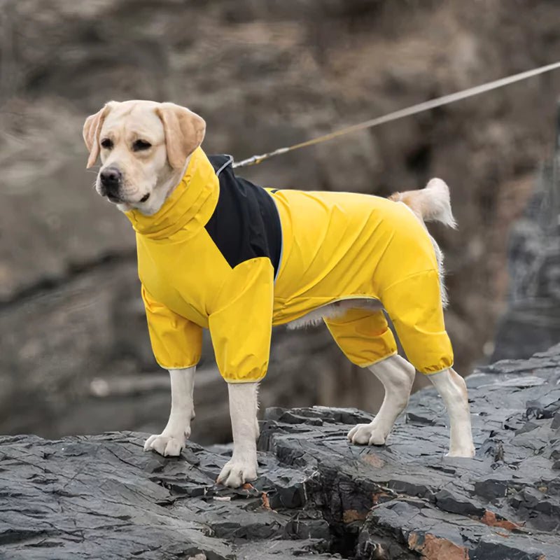 Yellow Explorer Dog Raincoat | Waterproof - Canine Culture