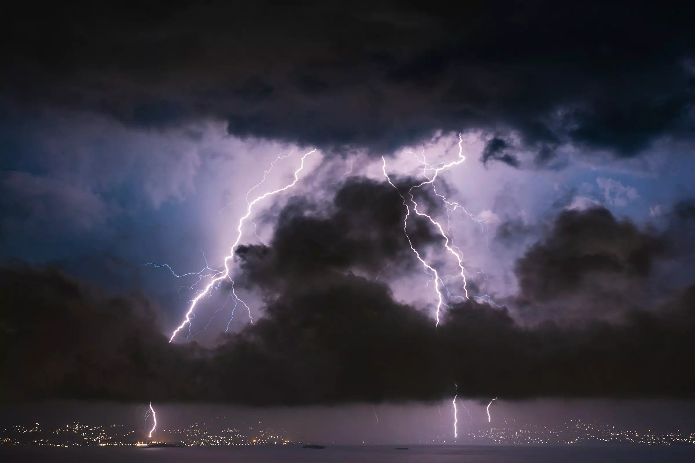 10 Ways to Keep Your Dog Calm During a Storm