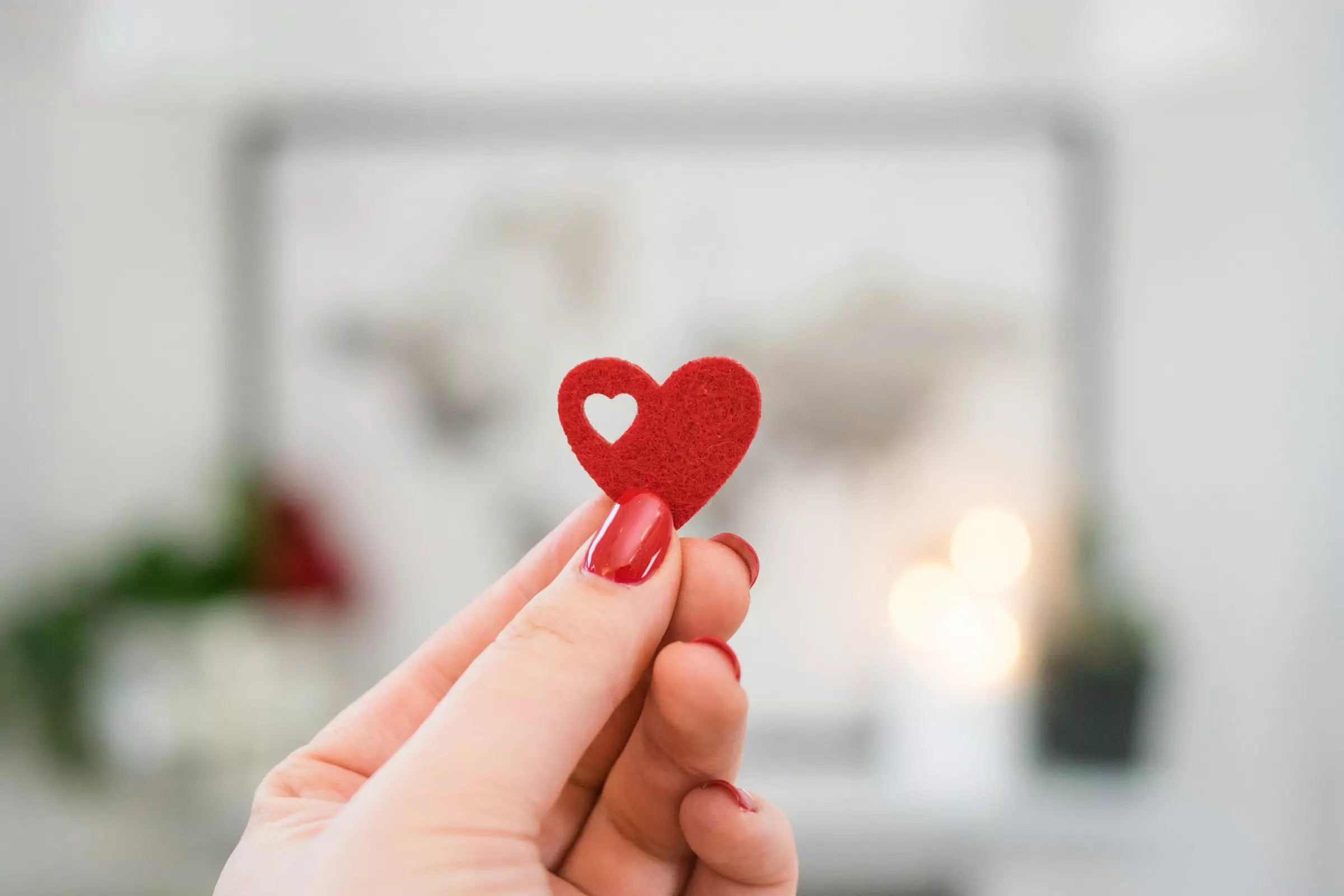 5 Ways to Keep Your Dog’s Heart Healthy Canine Culture