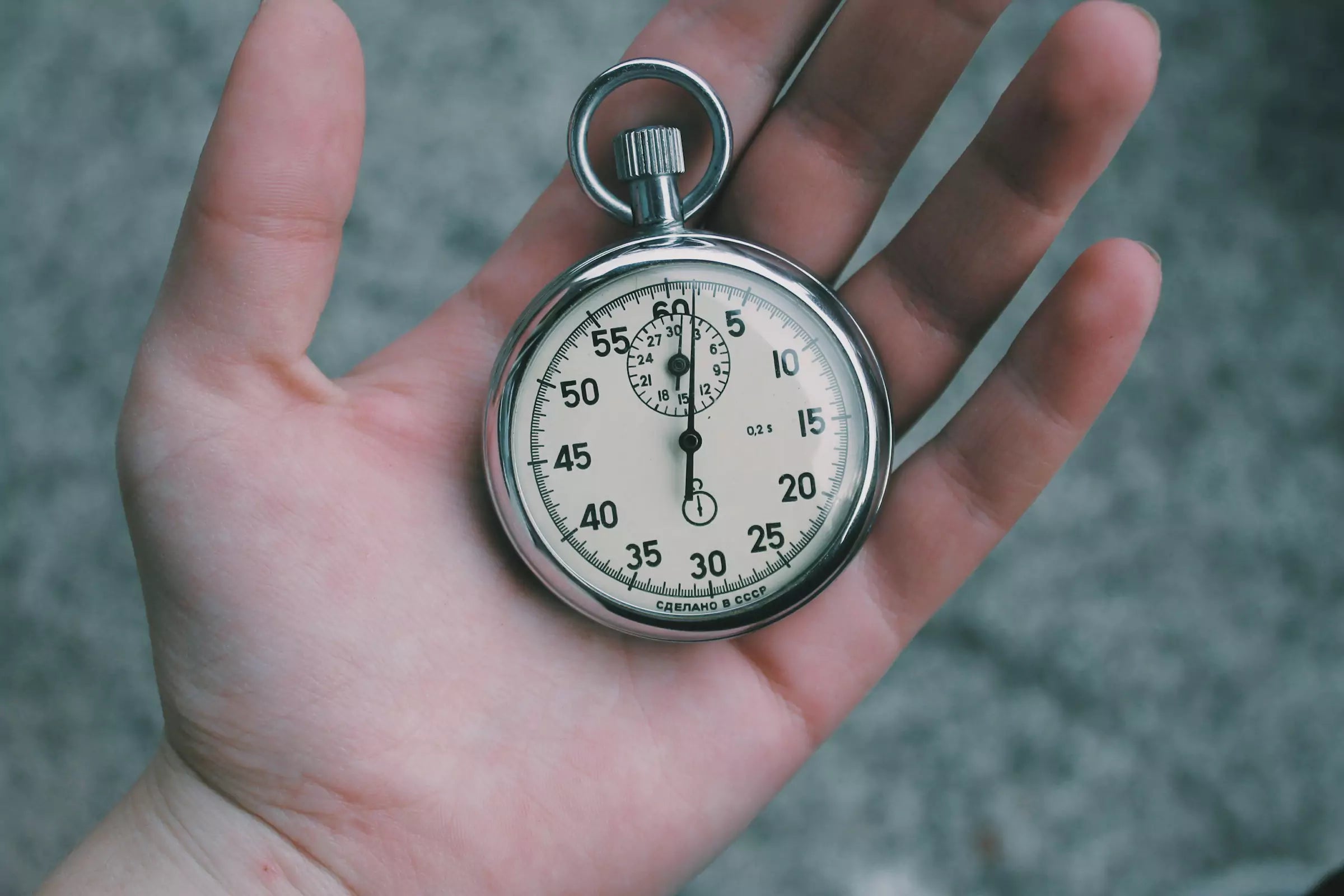 Can Dogs Tell Time