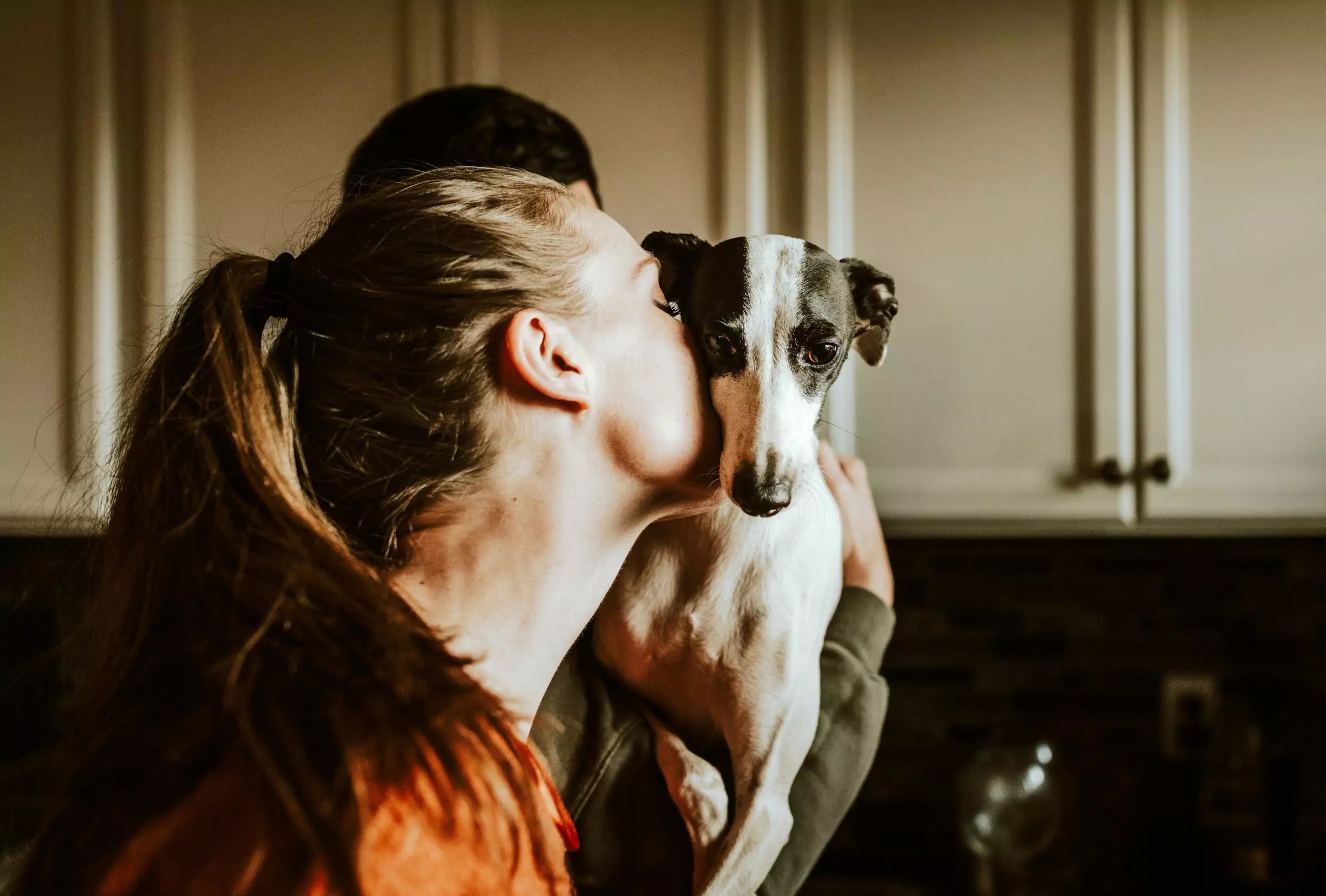 Can Dogs Understand Human Words and Sentences?