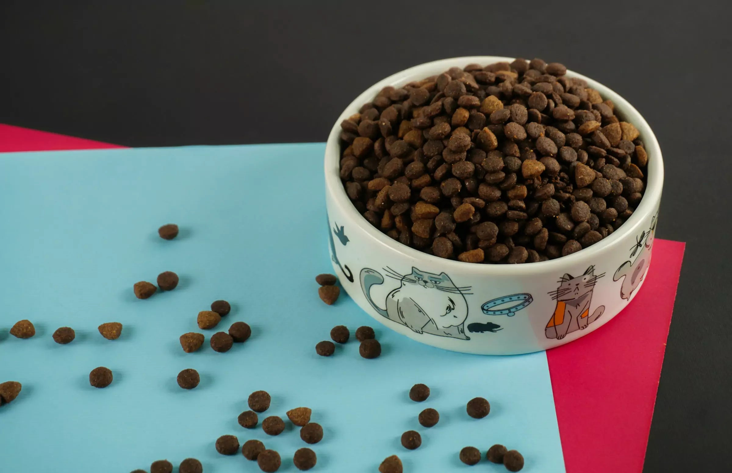 What to Do When My Dog Stops Eating?