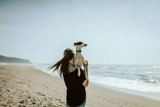 Top 10 Best Dog Breeds for First-Time Parents