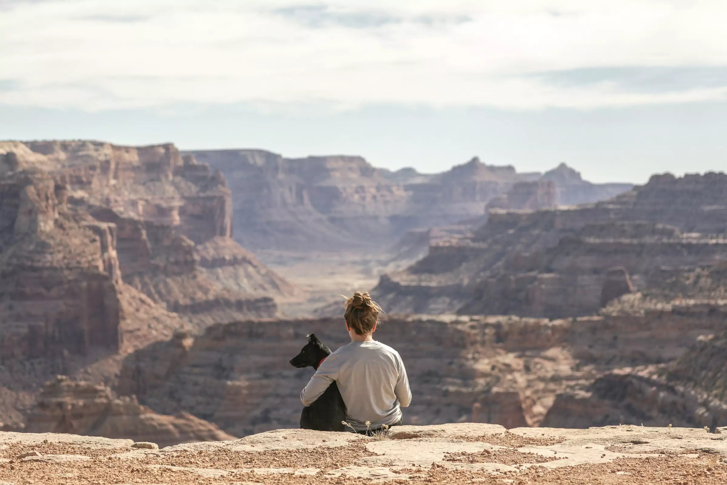 The Ultimate Summer Dog Travel Checklist