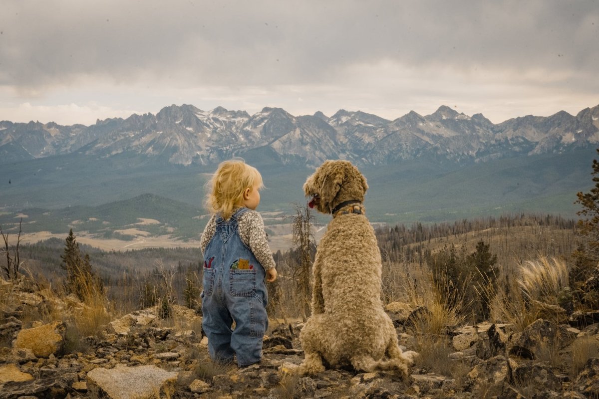 Dogs and Kids: Building a Safe and Loving Relationship - Canine Culture