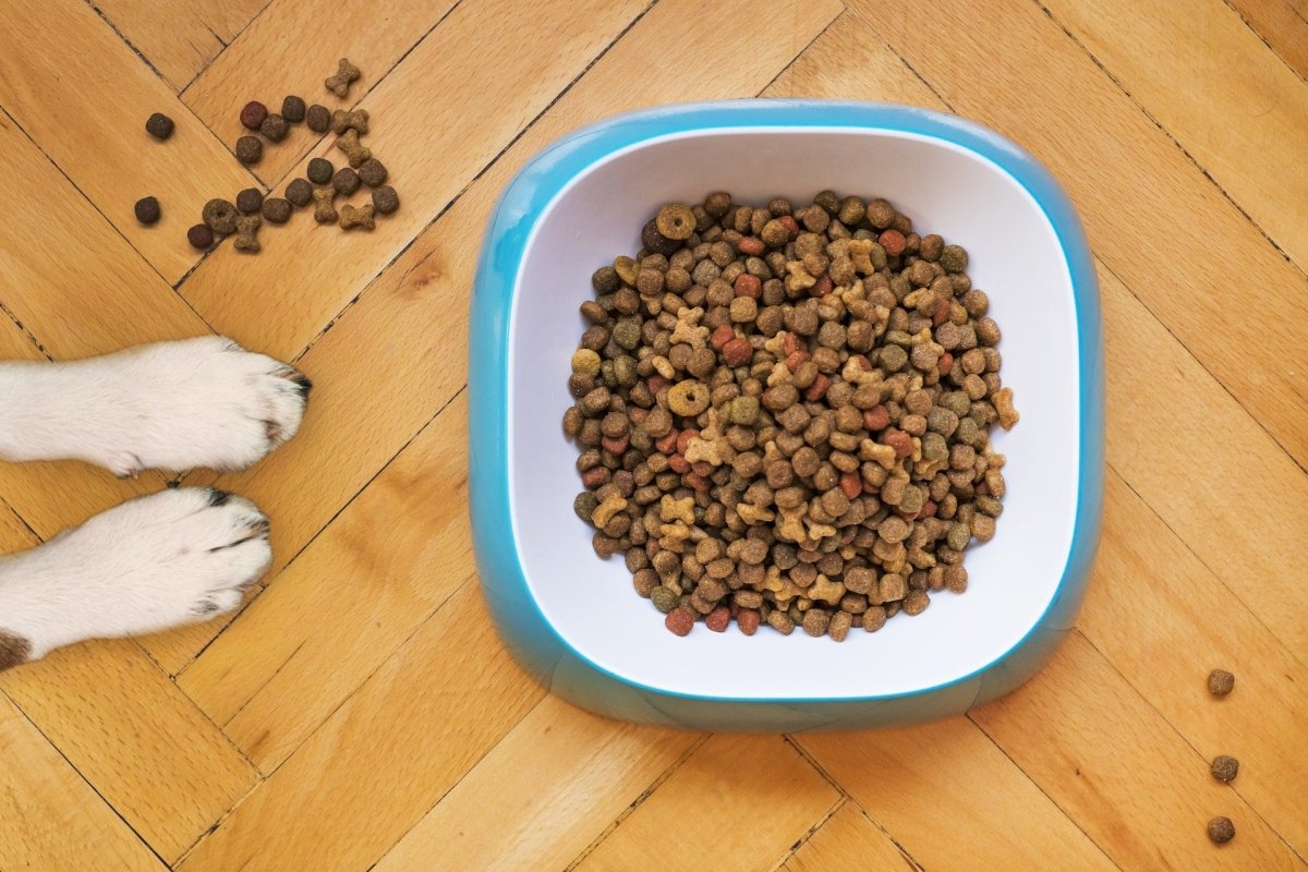 How Dog Food Is Made - Canine Culture