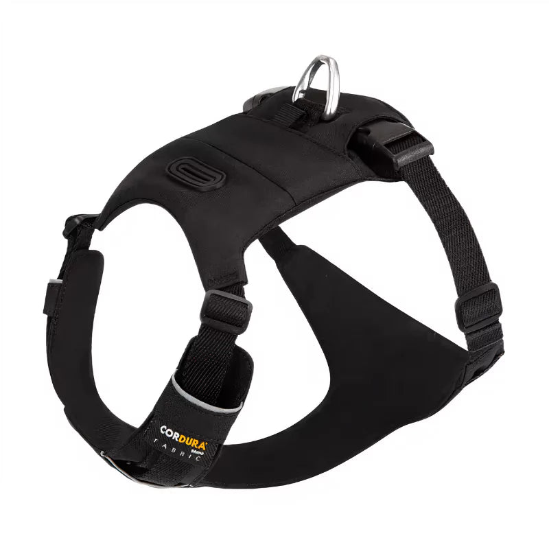 black dog harnesses canine culture