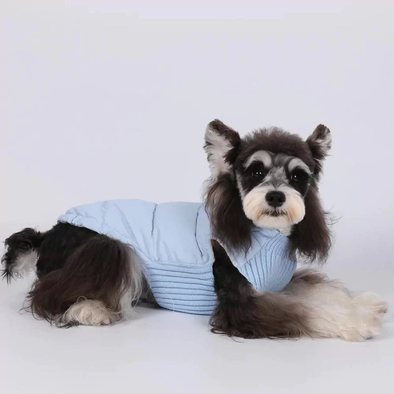 Baby Blue Warm Fleeced Dog Coat | Windproof