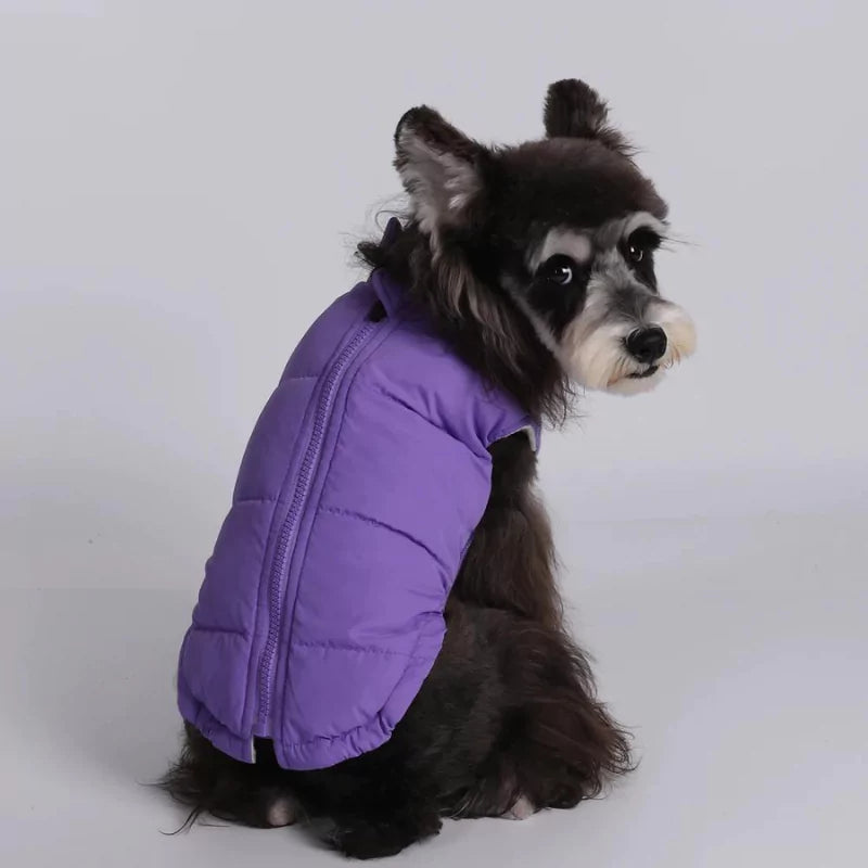 Purple Warm Fleeced Dog Coat | Windproof