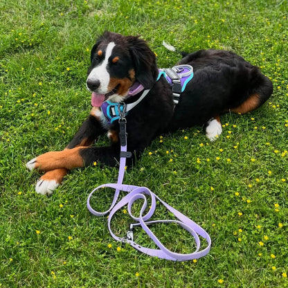 CANINE CULTURE CUSTOM DOG HARNESS