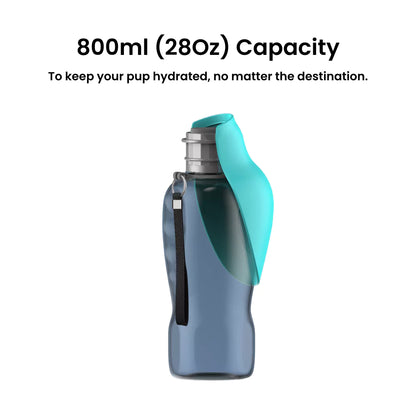 Dog Water Bottle | No Spill Leaf Funnel