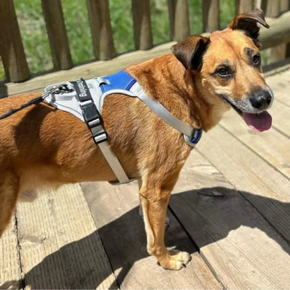 CUSTOM DOG HARNESS CANINE CULTURE