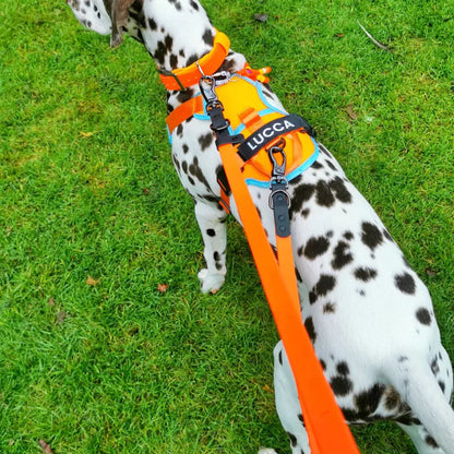 CUSTOM DOG HARNESS CANINE CULTURE