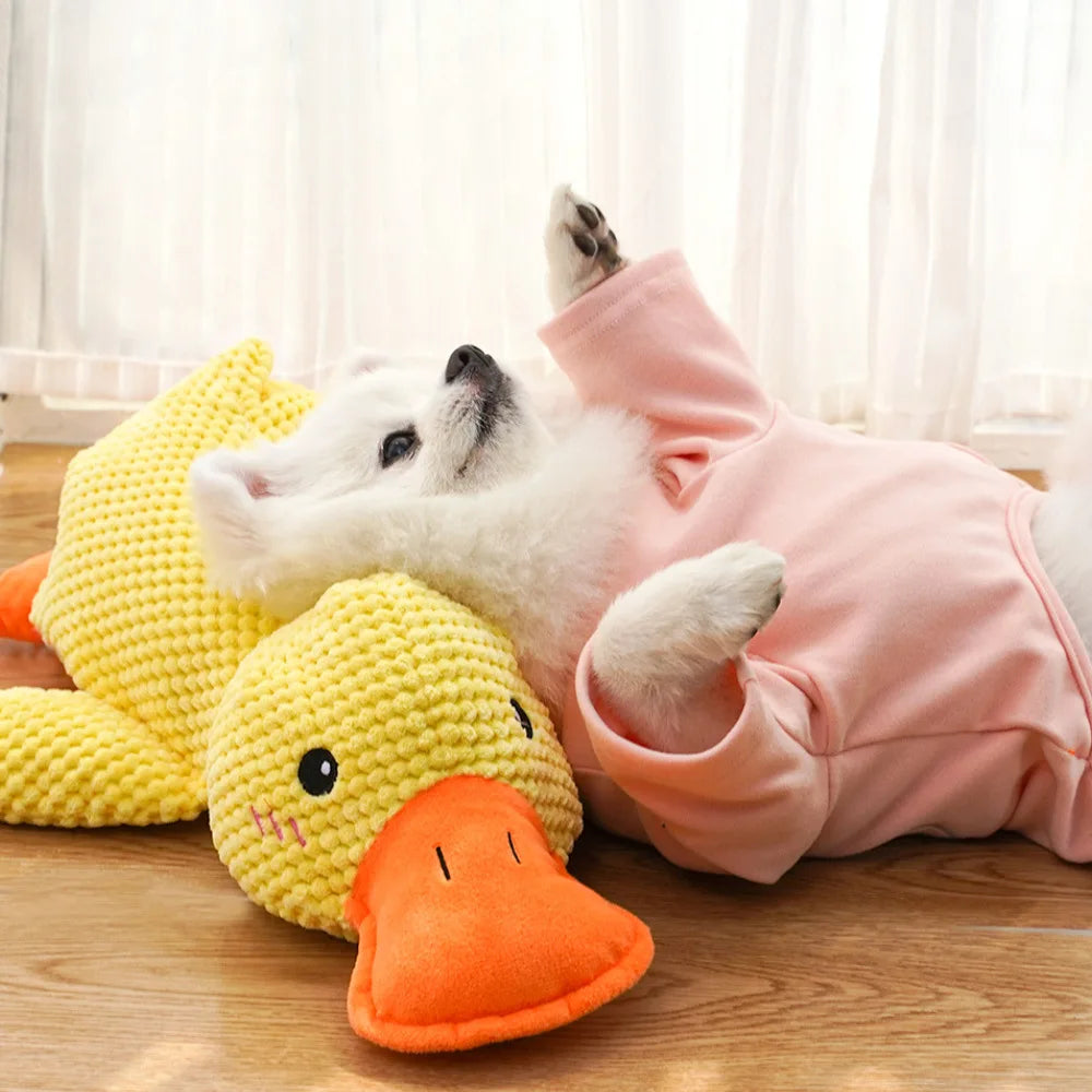 QUACKING DUCK STUFFED DOG TOY CANINE CULTURE
