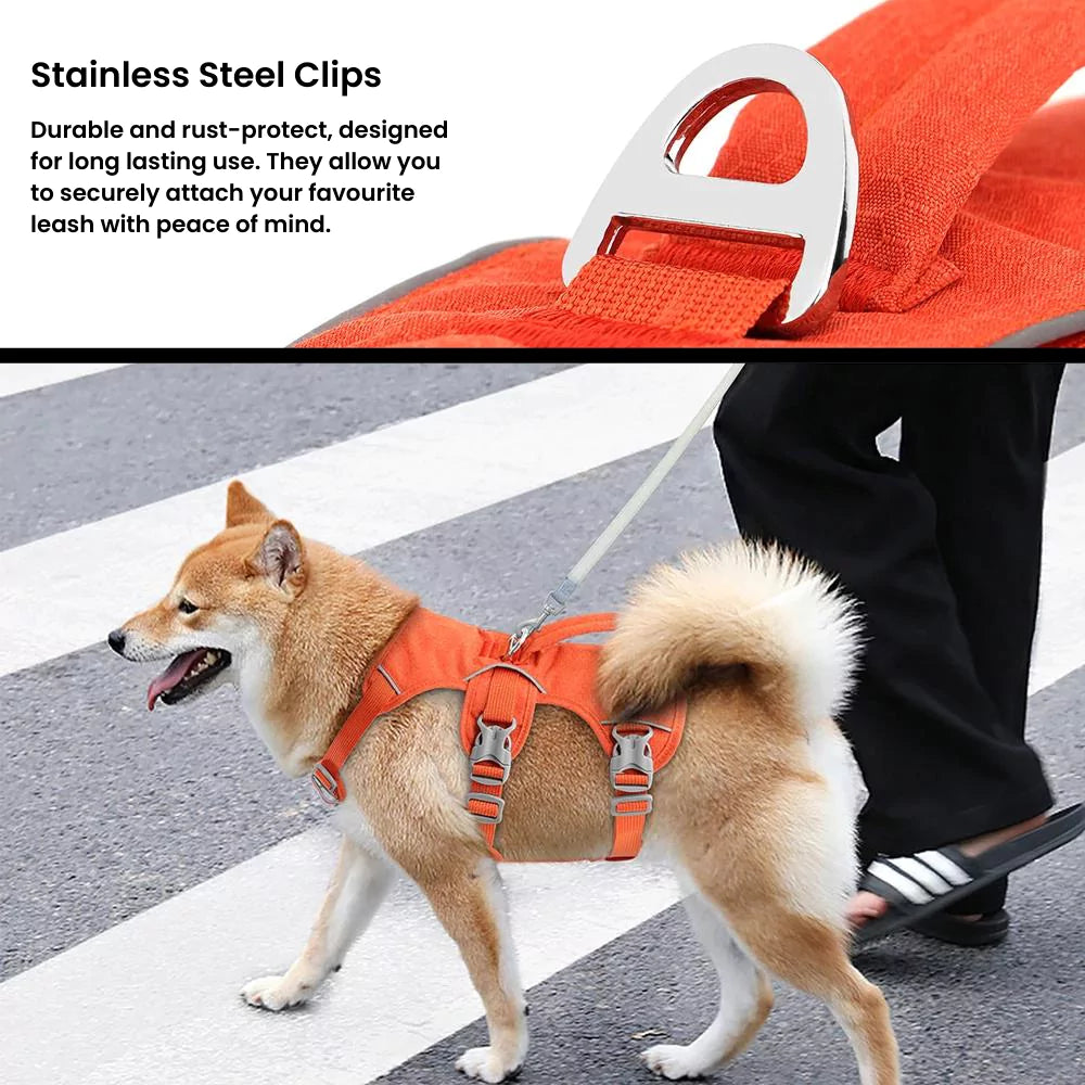 Active Dog Harness | Y Front & Clip Canine Culture 2