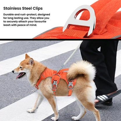 Active Dog Harness | Y Front & Clip Canine Culture 2