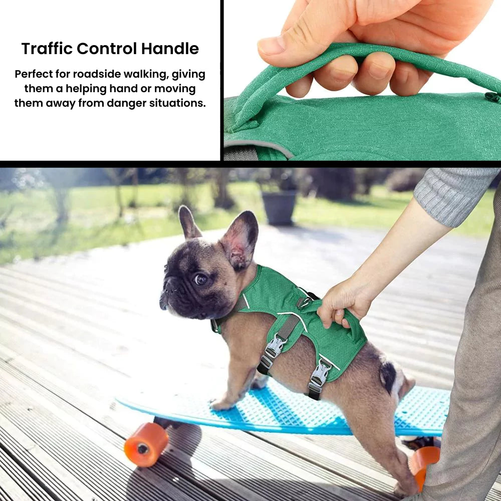 Active Dog Harness | Y Front & Clip Canine Culture