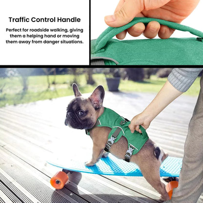 Active Dog Harness | Y Front & Clip Canine Culture