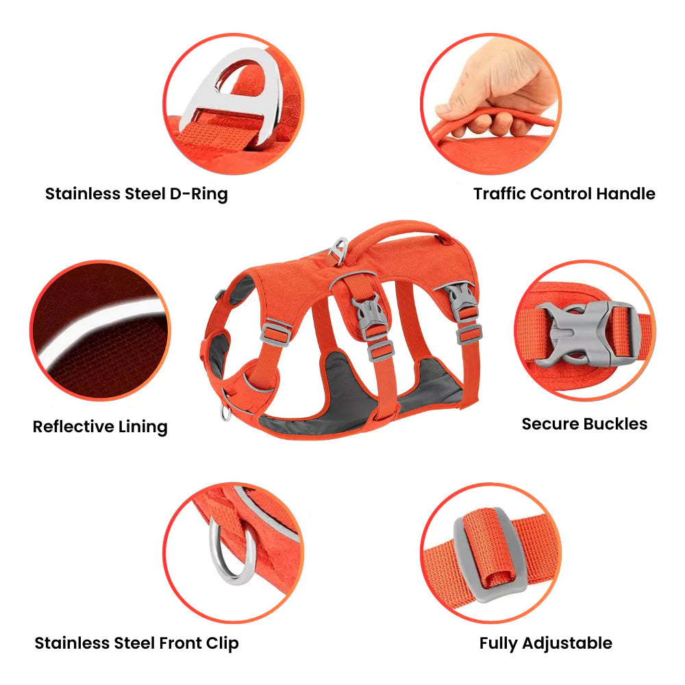Active Dog Harness | Y Front & Clip Canine Culture 4