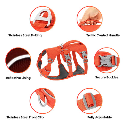 Active Dog Harness | Y Front & Clip Canine Culture 4